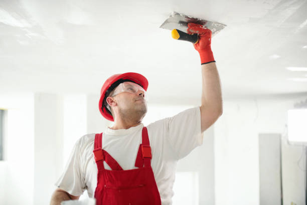 Best Fire-Damaged Drywall Repair  in Springville, NY